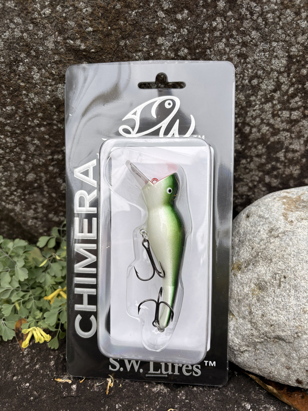 Frog Pattern - Chimera